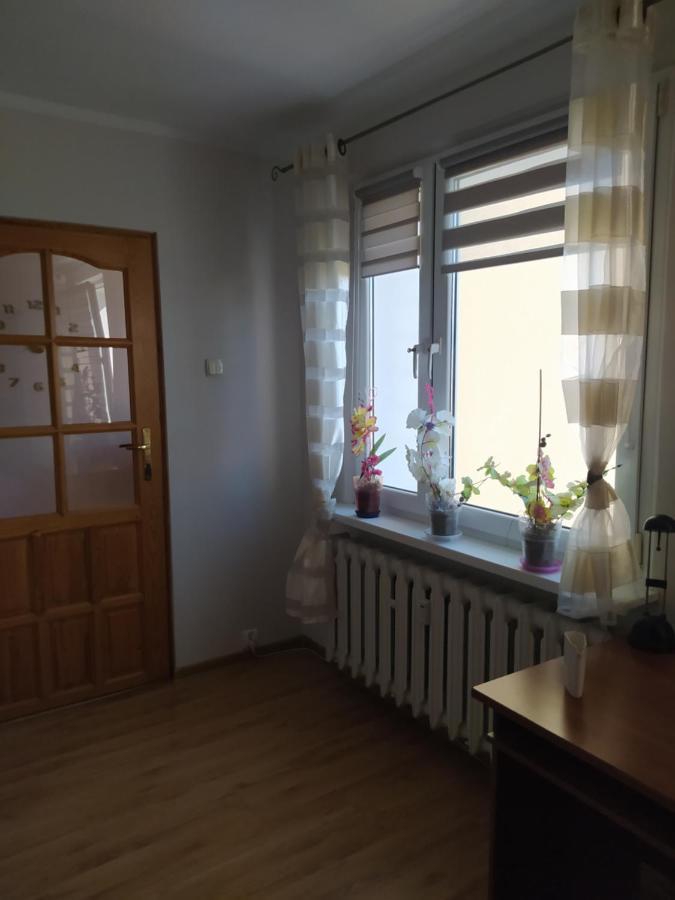 Apartament Z Widokiem Na Sniezke Jelenia Gora Ngoại thất bức ảnh